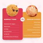 Vegan Oatmeal Cranberry Cookies Product vendor
