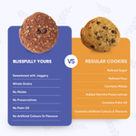 Vegan Oatmeal Double Choco Chip Cookis Product vendor